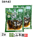 【国産原料使用】沢田の味 きゅうりしょうが しょうゆ漬 80g×2袋セット送料無料 自然と健康の郷 群馬県吾妻郡産 健康 ダイエット ギフト プレゼント 母の日...