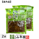 【国産原料使用】沢田の味 白うりふきのとう しょうゆ漬 80g×2袋セット送料無料 自然と健康の郷 群馬県吾妻郡産 健康 ダイエット ギフト プレゼント 母の日...