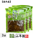 【国産原料使用】沢田の味 白うりふきのとう しょうゆ漬 80g×3袋セット送料無料 自然と健康の郷 群馬県吾妻郡産 健康 ダイエット ギフト プレゼント 母の日...