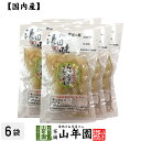 【国産原料使用】沢田の味 らっきょうりんご 甘酢漬 100g×6袋セット送料無料 自然と健康の郷 群馬県吾妻郡産 健康 ダイエット ギフト プレゼント 母の日 ...
