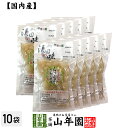 【国産原料使用】沢田の味 らっきょうりんご 甘酢漬 100g×10袋セット送料無料 自然と健康の郷 群馬県吾妻郡産 健康 ダイエット ギフト プレゼント 母の日...