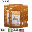 玉ねぎの皮EX(サプリメント・錠剤)27.9g(300mg×93粒)×6袋セット栄養補助食品 ケルセチン たまねぎ 玉葱 送料無料 国産 緑茶 ダイエット ギフ...