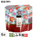 さくら緑茶 2.5g×5パック×6袋セット 送料無料 静岡県掛川産緑茶 静岡県産桜葉 ティーバッグ ティーパック ダイエット ギフト プレゼント 内祝い お返し...