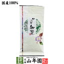 日本茶 お茶 煎茶 茶葉 知覧かぶせ 100g 送料無料 緑茶 知覧茶 ギフト お中元 御中元 プチギフト お茶 2025 内祝い プレゼント 還暦祝い 男性 女性 父 母 贈り物 香典返し 引越し 挨拶品 お祝い 人気 おすすめ 贈物 お土産 おみやげ 誕生日 祖父 祖母 お礼