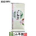 日本茶 お茶 煎茶 茶葉 知覧かぶせ 100g 送料無料 緑茶 知覧茶 ギフト 母の日 父の日 プチギフト お茶 2024 内祝い プレゼント 還暦祝い 男性 女性 父 母 贈り物 香典返し 引越し 挨拶品 お祝い 人気 おすすめ 贈物 お土産 おみやげ 誕生日 祖父 祖母 お礼