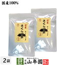 【国産無農薬】きくらげ茶 ティーパック 3g×10包×2袋セットノンカフェイン 送料無料 キクラゲ茶 健康茶 お土産 ギフト プレゼント 母の日 父の日 プチギ...