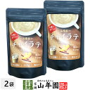 チャイラテ 100g×2袋セット 送料無料 高級 チャイカプチーノ チャイラテスムージー チャイオーレ チャイオレ チャイケーキ チャイ 粉末 美味しい お菓子...