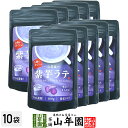 紫芋ラテ 100g×10袋セット 送料無料 高級 紫芋カプチーノ 紫芋ラテスムージー 紫芋オーレ 紫芋オレ 紫芋ケーキ 紫芋 粉末 美味しい お菓子 紫芋スイー...