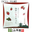 【京都 舞妓の茶】抹茶いちごちょこ 72g 箱入(24×3袋入)送料無料 甘酸っぱい丸ごとフリーズドライのいちごに、石臼挽き宇治抹茶を贅沢に使用した抹茶チョコレートでコーティング 抹茶 高級 国産 おやつ ギフト プレゼント 父の日 お中元 プチギフト お茶 2025