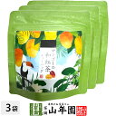 【国産紅茶】マンゴーの和紅茶 10g(2g×5パック)×3袋セット 送料無料 静岡県産紅茶 マンゴーティ 国産紅茶 日本茶 マンゴーティーバッグ 紅茶 ティーパ...