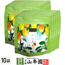 【国産紅茶】マンゴーの和紅茶 10g(2g×5パック)×10袋セット 送料無料 静岡県産紅茶 マンゴーティ 国産紅茶 日本茶 マンゴーティーバッグ 紅茶 ティー...