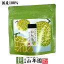 【国産紅茶】マスクメロンの和紅茶 2g×5パック 送料無料 静岡県産紅茶 ティーバッグ ティーパック ダイエット ギフト プレゼント 内祝い お返し お中元 御...
