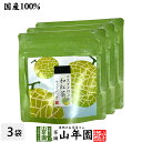 【国産紅茶】マスクメロンの和紅茶 2g×5パック×3袋セット 送料無料 静岡県産紅茶 ティーバッグ ティーパック ダイエット ギフト プレゼント 内祝い お返し...