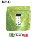 【国産100%】みんと緑茶 ティーパック 3g×5包送料無料 ティーバッグ 健康 ダイエット ギフト プレゼント 父の日 お中元 プチギフト お茶 内祝い チャイ 2025