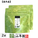 【国産100%】みんと緑茶 ティーパック 3g×5包×2袋セット送料無料 ティーバッグ 健康 ダイエット ギフト プレゼント 父の日 お中元 プチギフト お茶 内祝い チャイ 2025