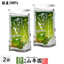 水出し 抹茶入 玄米茶 5g×15パック×2袋セット 送料無料 抹茶仕立ての緑茶 日本茶 玄米 ティーバッグ ティーパック ダイエット ギフト プレゼント 内祝...