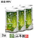 水出し 抹茶入 玄米茶 5g×15パック×3袋セット 送料無料 抹茶仕立ての緑茶 日本茶 玄米 ティーバッグ ティーパック ダイエット ギフト プレゼント 内祝...