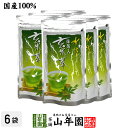 水出し 抹茶入 玄米茶 5g×15パック×6袋セット 送料無料 抹茶仕立ての緑茶 日本茶 玄米 ティーバッグ ティーパック ダイエット ギフト プレゼント 内祝...