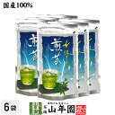 水出し 煎茶 5g×15パック×6袋セット 送料無料 すっきりと美しいみどりの清涼感 心も潤うおいしい冷たい緑茶 日本茶 玄米 ティーバッグ ティーパック ダイ...