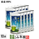 水出し 煎茶 5g×15パック×10袋セット 送料無料 すっきりと美しいみどりの清涼感 心も潤うおいしい冷たい緑茶 日本茶 玄米 ティーバッグ ティーパック ダ...
