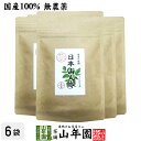 【国産 無農薬】日本山人参茶ティーパック 2g×15包×6袋セット 熊本県産 健康茶 ティーバッグ 妊婦 ダイエット 贈り物 ギフト プレゼント お中元 御中元...