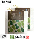 お茶チョコ 東山 掛川茶 2枚入り×2個セットチョコレート お菓子 緑茶 まっちゃ 健康 送料無料 国産 緑茶 母の日 父の日 ギフト プレゼント プチギフト ...