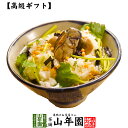 【高級 ギフト】牡蠣茶漬け×3袋セット 送料無料 具材が丸ごと乗った お茶漬け ギフト プレゼント いか イカ お茶漬け…