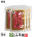 【国産】万能おかず生姜 130g×6袋セット高知県産のしょうがしょうゆ漬（刻み）高知家 焼き魚の付け合わせ 豆腐の薬味 お好み焼きの具材 生姜焼き 健康 送料無料 ダイエット ギフト プレゼント 母の日 父の日 プチギフト お茶 内祝い 2024