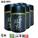 【高級抹茶】有機抹茶 おくみどり 30g×6個セット 送料無料 静岡県産の粉末のお抹茶です! 製菓用などにもご使用できます! 抹茶 粉末 高級 国産 ギフト プレゼント お中元 敬老の日 プチギフト お茶 2025 内祝い 還暦祝い 男性 女性 父 母 贈り物 香典返し お土産