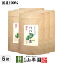 【国産100 】パパイヤ茶 ティーバッグ 宮崎県産 ノンカフェイン 18g（1.5g×12p）×6袋セット送料無料 papaya tea 国産 パパイア ポリフェノール 食物繊維 ダイエット 妊婦 高級 ギフト プレゼント 母の日 父の日 プチギフト お茶 2024 内祝い お返し