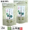 【国産100%】パパイヤ葉茶 ティーバッグ 宮崎県産 ノンカフェイン 18g(1.5g×12p)×2袋セット送料無料 papaya tea 国産 パパイア ポリフェノール 食物繊維 ダイエット 妊婦 高級 ギフト プレゼント 父の日 お中元 プチギフト お茶 2025 内祝い お返し