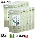 【国産100%】パパイヤ葉茶 ティーバッグ 宮崎県産 ノンカフェイン 18g(1.5g×12p)×10袋セット送料無料 papaya tea 国産 パパイア ポリフェノール 食物繊維 ダイエット 妊婦 高級 ギフト プレゼント 父の日 お中元 プチギフト お茶 2025 内祝い お返し