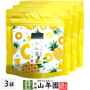 【国産紅茶】パイナップルの和紅茶 10g(2g×5パック)×3袋セット 送料無料 静岡県産紅茶 パイナップルティ 国産紅茶 日本茶 パイナップル ティーバッグ ...