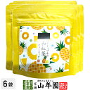 【国産紅茶】パイナップルの和紅茶 10g(2g×5パック)×6袋セット 送料無料 静岡県産紅茶 パイナップルティ 国産紅茶 日本茶 パイナップル ティーバッグ ...