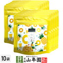 【国産紅茶】パイナップルの和紅茶 10g(2g×5パック)×10袋セット 送料無料 静岡県産紅茶 パイナップルティ 国産紅茶 日本茶 パイナップル ティーバッグ...