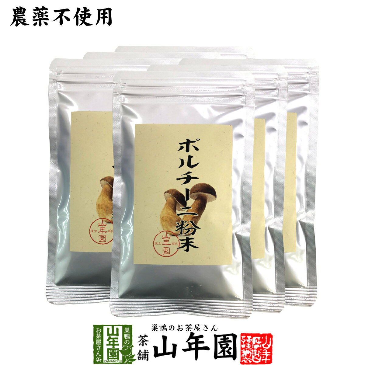 【本場イタリア産無農薬100%】 ポルチーニ茸の粉末 40g×6袋セット 無農薬で栽培されたポルチー ...