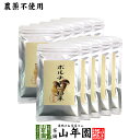 【本場イタリア産無農薬100%】 ポルチーニ茸の粉末 40g×10袋セット 無農薬で栽培されたポルチ ...