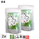 【国産】水出しみんと冷茶 40g（4g×10p）×2袋セット静岡県掛川産深蒸し煎茶 北海道産幻のミント和種薄荷 健康 送料無料 ダイエット ギフト プレゼント 母の日 父の日 プチギフト お茶 内祝い 2024