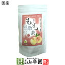【国産】水出しもも冷茶 40g(4g×10p)ティーパック ティーバッグ 静岡県掛川産深蒸し煎茶 山梨県産白桃 健康 送料無料 ダイエット ギフト プレゼント お歳暮 御歳暮 プチギフト お茶 内祝い 2025