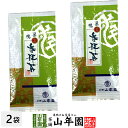 日本茶 お茶 茶葉 特選参拝茶 100g×2袋セット 美味しい掛川茶 深蒸し茶 国産 煎茶 茶葉 煎茶 茶葉 日本茶 煎茶 茶葉 お茶 緑茶 ギフト 日本茶 茶 日本茶 煎茶 茶葉 お茶 緑茶 ギフト 日本茶 茶 お茶 日本茶 掛川茶 掛川茶 掛川茶 掛川茶 05P01Nov14