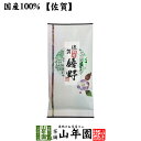 日本茶 お茶 茶葉 特選嬉野 100g 健康 送料無料 国産 緑茶 ダイエット ギフト プレゼント 母の日 父の日 プチギフト お茶 内祝い 2024 還暦祝い 男性 女性 父 母 贈り物 香典返し 挨拶品 お土産 おみやげ お祝い 誕生日 祖父 祖母 お礼 夫婦