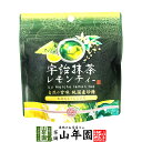 宇治抹茶レモンティー 80g送料無料 自然の甘味 純国産砂糖 北海道産てん菜使用 ダイエット ギフト プレゼント 内祝い お返し お中元 御中元 プチギフト 2...