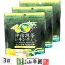 宇治抹茶レモンティー 80g×3袋セット送料無料 自然の甘味 純国産砂糖 北海道産てん菜使用 ダイエット ギフト プレゼント 内祝い お返し お中元 御中元 プ...