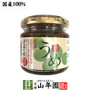 【国産】うめジャム 140g沢田の味 群馬県 あがつま農協 群馬県吾妻郡産原料使用 送料無料 母の日 父の日 プチギフト お茶 2024 ギフト プレゼント 内祝い 還暦祝い 男性 女性 父 母 贈り物 香典返し 引越し 挨拶品 お祝い 人気 贈物 お土産 おみやげ 誕生日 祖父