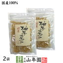 【国産】柚子スティック 100g×2袋セット国産の種なし柚子をじっくり丁寧に仕上げました 冷茶や氷水 ...