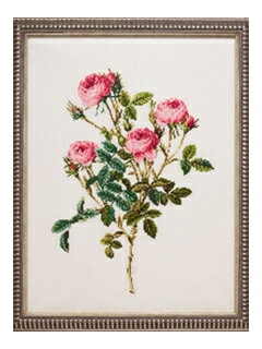 【ルシアン】 COSMO　刺繍キット　ルドゥーテの美しき花の世界　ロサ・ポンポニア　No.806