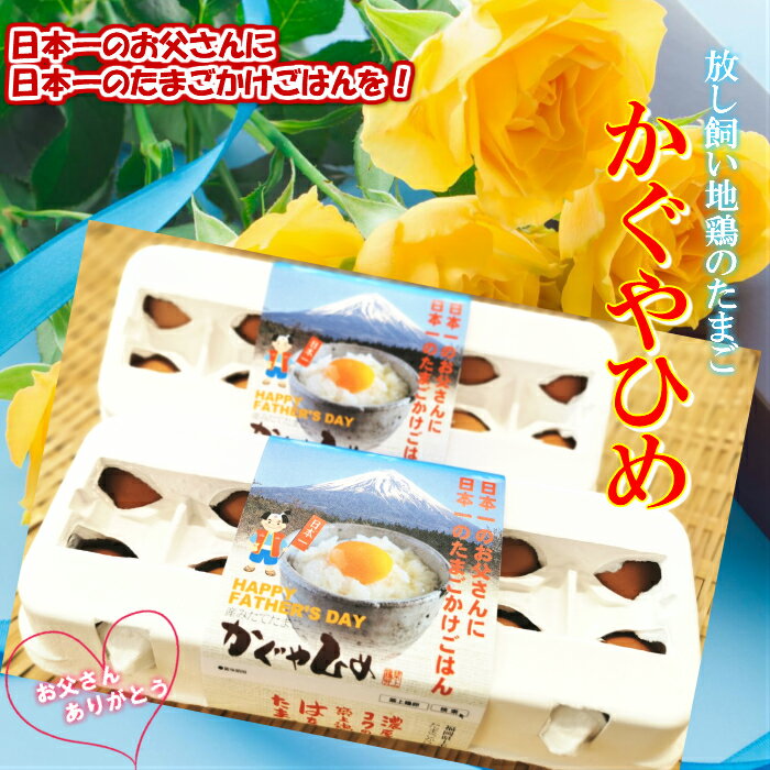 父の日ギフト　お父さんありがとう　鶏卵　イベント　生鮮　送料無料　贈答用卵　卵　たまご　産地直送　放し飼い卵　20個入 生食用卵　九州産福岡県産　自然卵