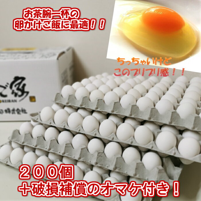 白S200個トレイ