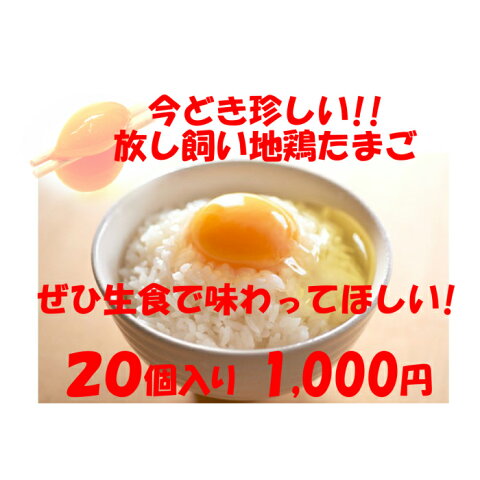 卵　たまご　産地直送　放し飼い卵　20個入 生食用卵　九州産福岡県産　自然卵