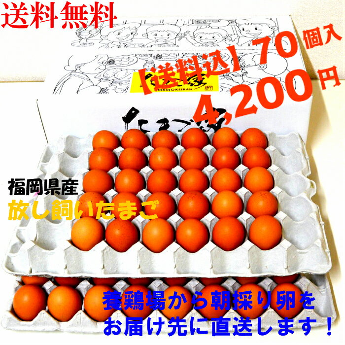送料無料　卵　たまご　産地直送　放し飼い卵　70個入 生食用卵　九州産福岡県産　自然卵